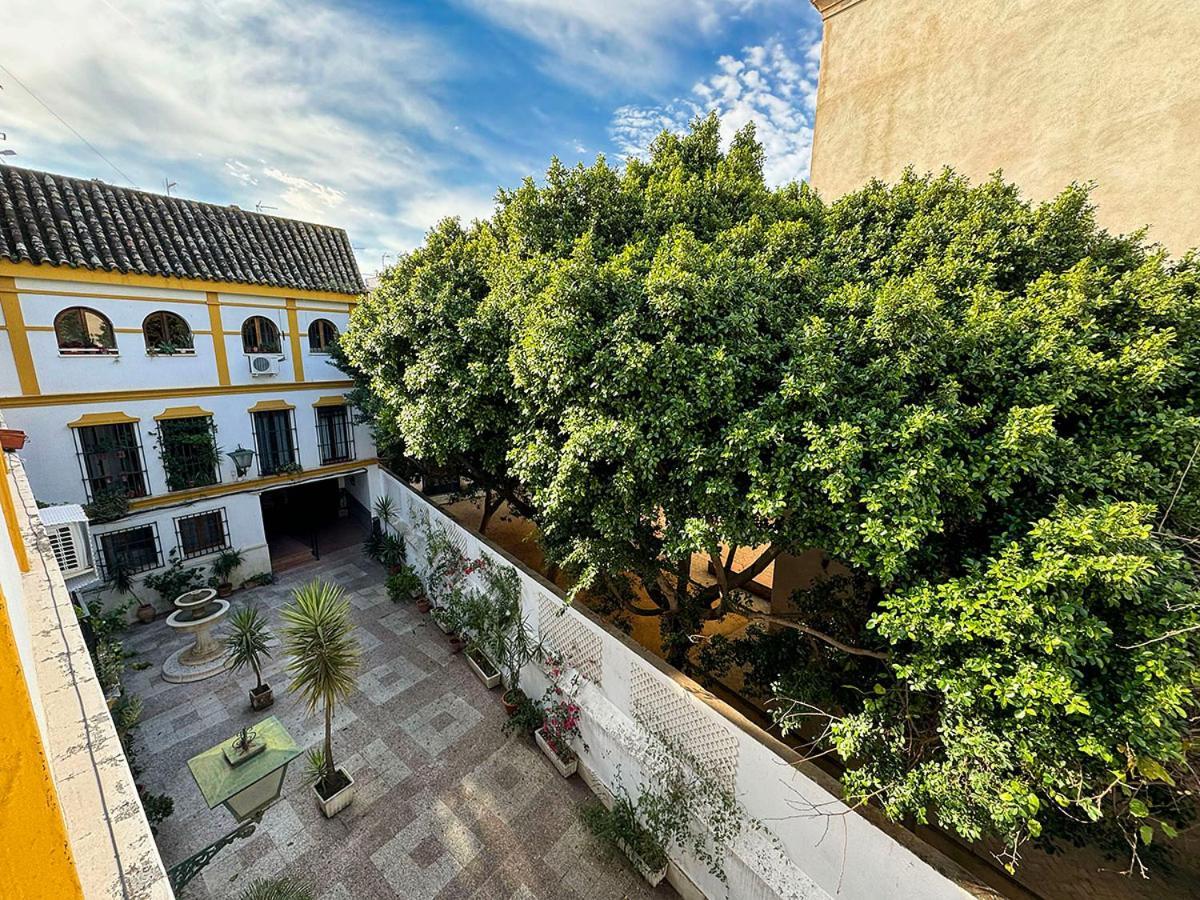 Appartamento La Casita Del Mercado De Feria *