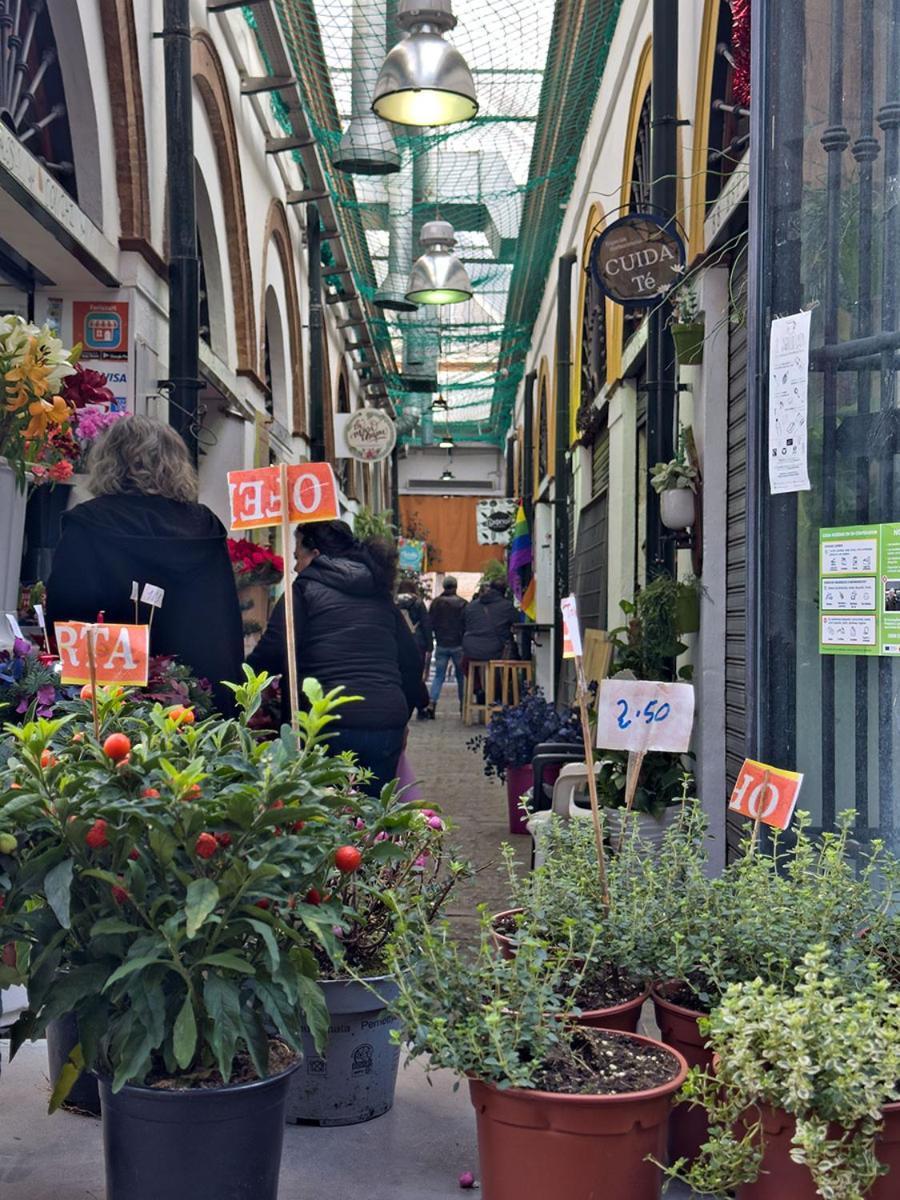 La Casita Del Mercado De Feria Appartamento *